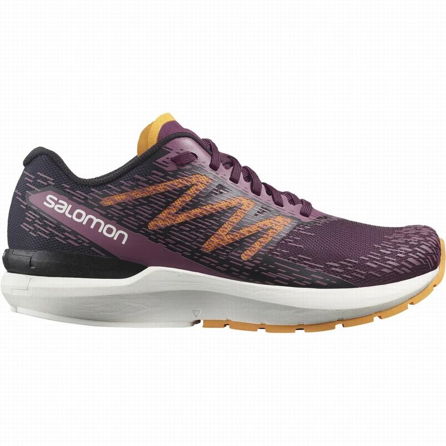 Salomon Sonic 5 Balance Hardloopschoenen Dames Bordeaux (NGU8789BS)